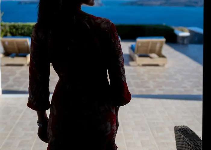 Modus Vivendi 别墅