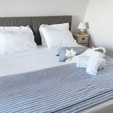 Modus Vivendi فيلة